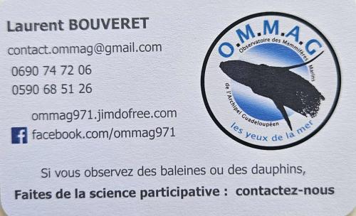 a visa card with a bird on it at Villa confortable avec vue mer à Petit-Canal in Petit-Canal