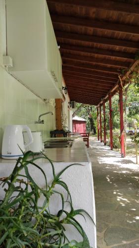 Ein Garten an der Unterkunft Akamatis Giorgos