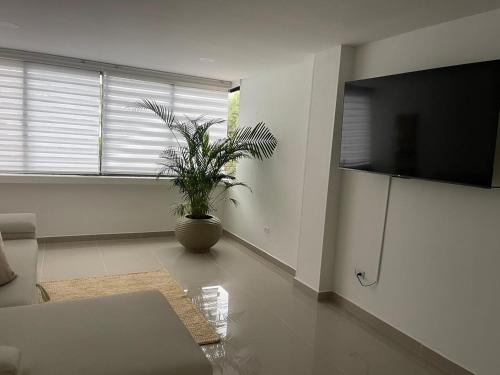 een woonkamer met een tv en een potplant bij LILI in Cartagena