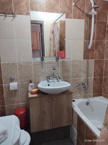 Ένα μπάνιο στο Casa lui Andrei