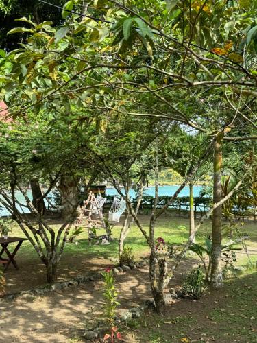 a park with trees and a playground with a swing at Casa Alma in Capurganá