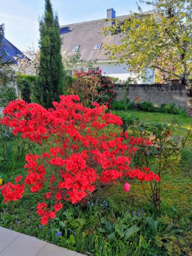 un bouquet de fleurs rouges dans un jardin dans l'établissement Chantilly, à Orvault