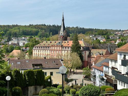 a view of a town with a church and buildings at Apartment Joelle mit Sauna, Schwimmteich und Gym in Erbach im Odenwald