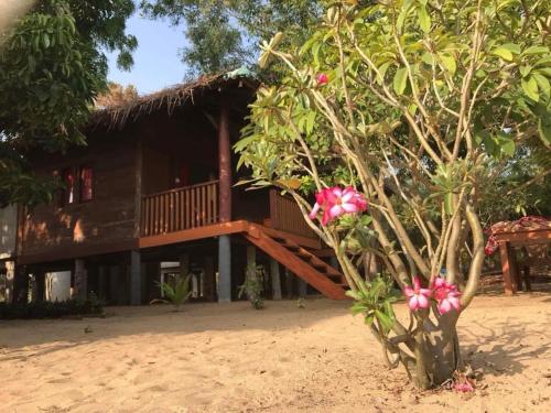 a house on the beach with a tree with pink flowers at Ocean View Cabana in Pottuvil