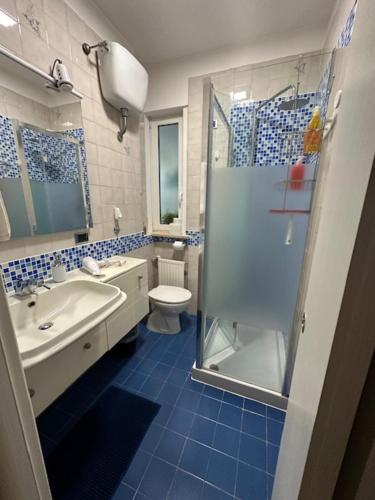 ein Bad mit einem WC, einem Waschbecken und einer Dusche in der Unterkunft THE HOUSE OF SUNSETS in Rom