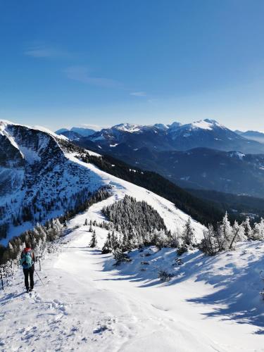 a person is skiing down a snow covered mountain at Modern Studio Perauer in Gmünd in Kärnten