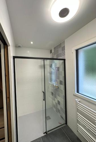 une douche avec une porte vitrée dans une salle de bain dans l'établissement VILLA bord de mer 85 SPA de nage Les Conches, à Longeville-sur-Mer