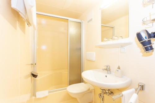 a bathroom with a shower and a toilet and a sink at Schmittental Pension Self-Check-In in Zell am See