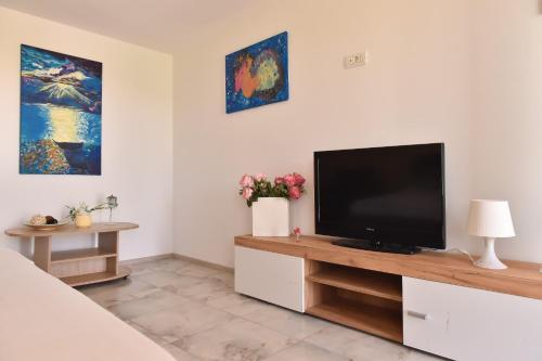 a living room with a flat screen tv on a cabinet at Vadul Chiquita in Vadu