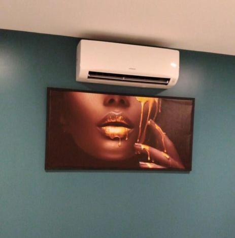 une télévision avec une photo d'une femme sur un mur dans l'établissement Maison BELIZO, familiale ,calme et reposante., à Vernet