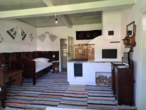 Imagen de la galería de Casa Felicia, en Suceviţa