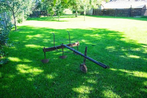 a bird feeder in the grass in a yard at Matusana- casă tradițională bucovineană in Bivolăria