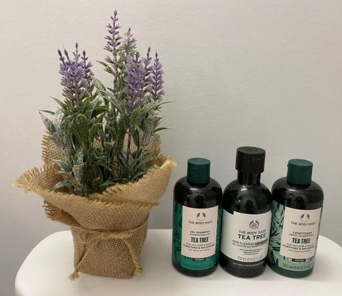 three bottles of essential oils sitting next to a plant at Two Bedroom Suite Burnaby Metrotown in Burnaby