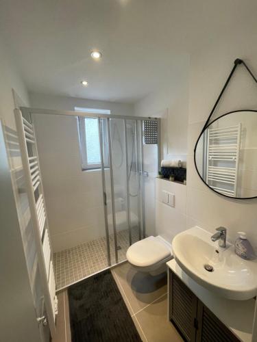 een badkamer met een douche, een toilet en een wastafel bij Moderne Wohnung in Uninähe in Maagdenburg