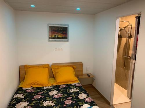 ein Schlafzimmer mit einem Bett mit gelben Kissen und einer Dusche in der Unterkunft Charmante petite maison en pierre, avec accès autonome in Satillieu