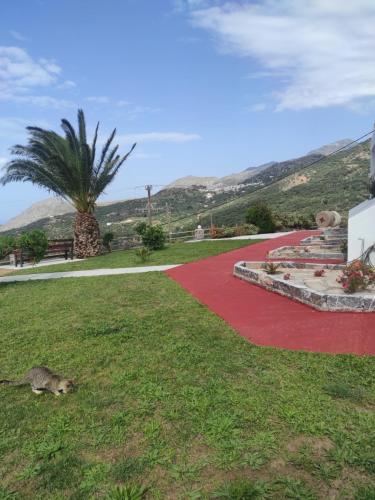 Fotografie z fotogalerie ubytování Chrisanthi Studios & Apartments v destinaci Plakias