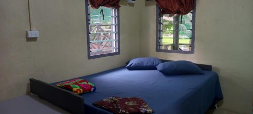 Outback Retreat/Hotel, Ba Fiji في Tonge: سرير ازرق في غرفة نوم بها نافذتين