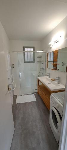 une salle de bain avec douche et machine à laver dans l'établissement Maison Pyrénées - Poubeau, à Poubeau