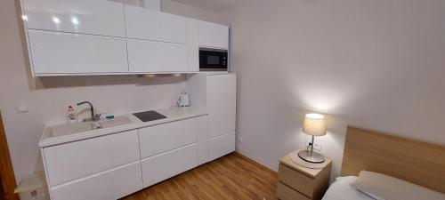 Dapur atau dapur kecil di Apartamentai šalia baseino