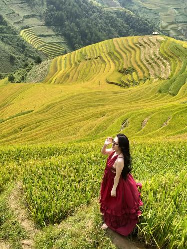 Landskap semula jadi dekat dengan hotel