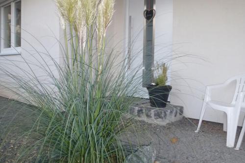 a plant next to a house with a white chair at Relaxing Holiday Home in Willersdorf in the forest in Frankenberg