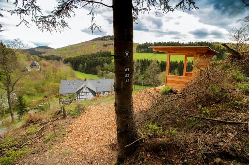 a tree on a hill with a house in the background at Gasthof Braun in Schmallenberg