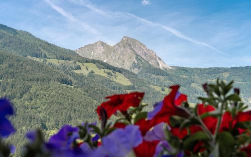 a bunch of flowers in front of a mountain at am mühlbach - einfach sein, mit Gemeinschaftsküche in Dorfgastein