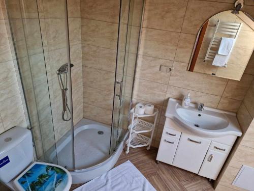 a bathroom with a shower and a sink at AGNES in Grzybowo