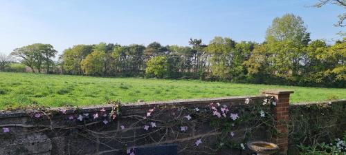 a stone wall with flowers on it in a field at Begonia Cottage in Briston