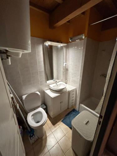 une petite salle de bain avec toilettes et lavabo dans l'établissement Appartement en plein centre face à la mairie de Balaruc-les-Bains, à Balaruc-les-Bains