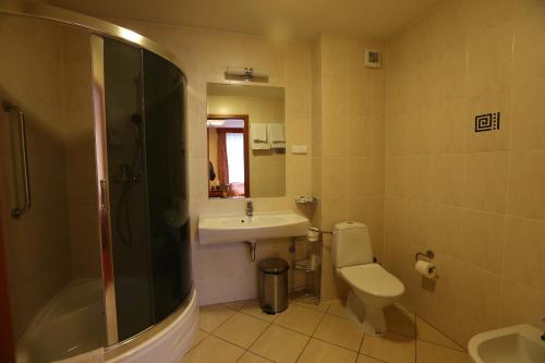 La salle de bains est pourvue d'un lavabo, de toilettes et d'une douche. dans l'établissement Hotel Korona, à Ciechanów