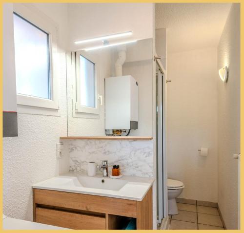 La salle de bains est pourvue d'un lavabo, d'un miroir et de toilettes. dans l'établissement Le Faucigny, à Saint Pierre en Faucigny