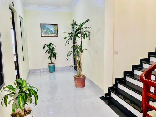 Billede fra billedgalleriet på TAM CỐC ĐỨC VÂN HOMESTAY i Ninh Binh