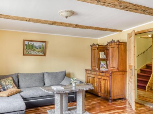 a living room with a couch and a table at Cosy holiday home in Wernigerode with large terrace in Hasserode
