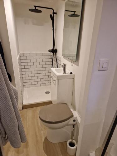 une petite salle de bain avec toilettes et douche dans l'établissement Spa Brunoy, à Brunoy