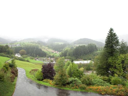 vistas a un río en un valle con árboles en Modern Apartment in Bad Peterstal Griesbach with Vineyards, en Bad Peterstal