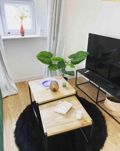 - un salon avec une table basse et une télévision dans l'établissement Beautiful refurbished cozy apartment, à Nice