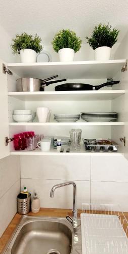 une cuisine avec évier et étagères avec plantes dans l'établissement Magnifique Studio avec Piscine et Jardin, à La Grande Motte