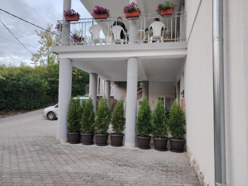 uma varanda com vasos de plantas ao lado de um edifício em Apartmani Ruj em Sokobanja