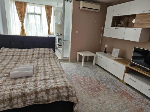 - une chambre avec un lit, un bureau et une télévision dans l'établissement Olivia`s Studio - apartment Iasi, à Iaşi