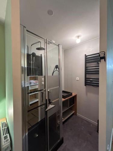 une salle de bain avec une douche avec une porte vitrée dans l'établissement Le cosy Balat Biel RDC jardin spacieux, à Grisolles