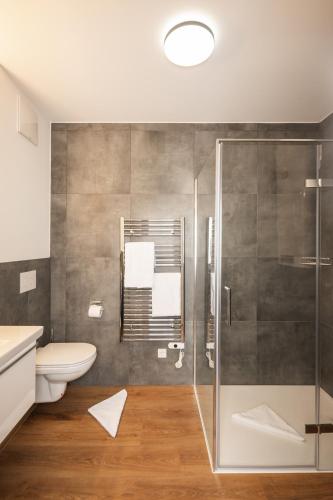 a bathroom with a toilet and a glass shower at Centro 7 - Kristall Lungau in Tamsweg