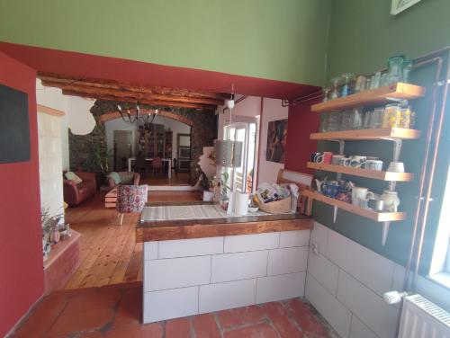 eine Küche mit roten und grünen Wänden und einer Theke in der Unterkunft Balkan Retreat in Bešenovo