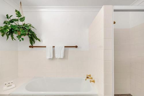 La salle de bains est pourvue d'une baignoire et d'une plante sur le mur. dans l'établissement Pool Table - Traditional Mountain Escape, à Leura