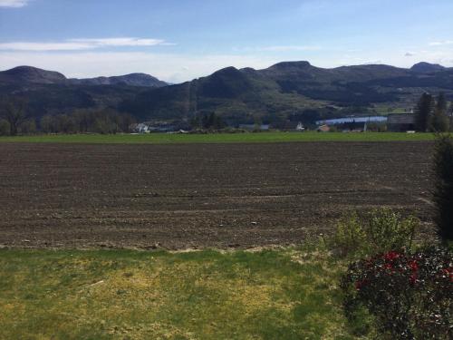 a large field with mountains in the background at Ryfylke garden Holta in Strand