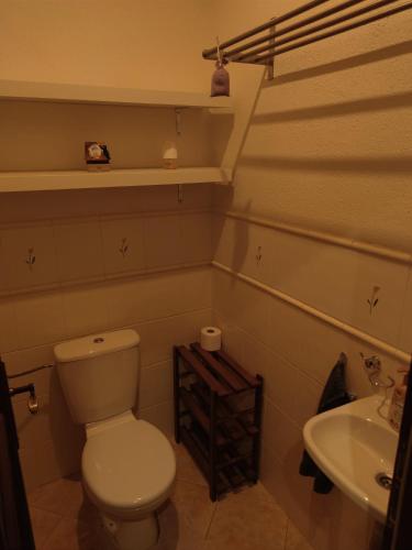 ein Bad mit einem WC und einem Waschbecken in der Unterkunft Apartment in the centrum with free private parking in Levice