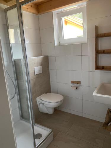 a bathroom with a toilet and a shower and a sink at Berghaus Christel, bergbeek in grote tuin in Arnoldstein
