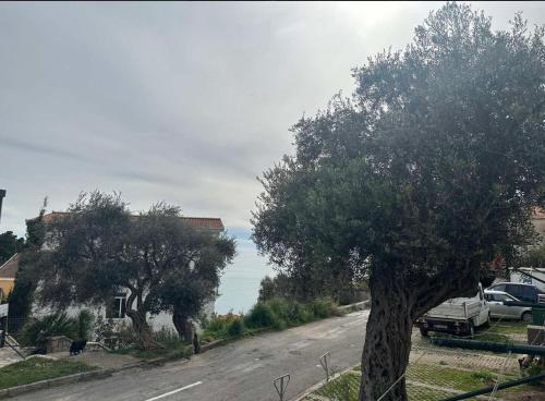 a street with a tree on the side of a road at Apartman Maja in Sveti Stefan