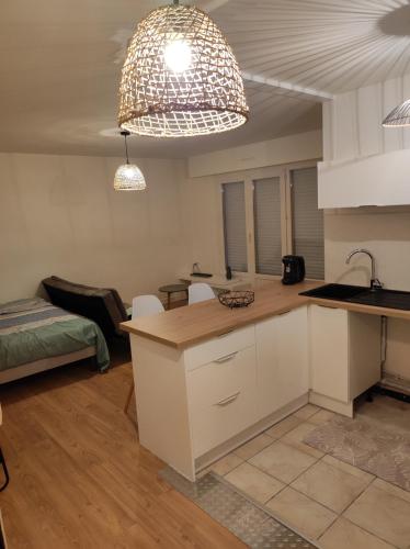 une cuisine et un salon avec un évier et une table dans l'établissement Appartement studio cosy centre avec place de parking, à Lorient