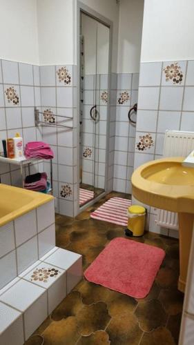 une salle de bain avec un lavabo et une douche avec un miroir dans l'établissement Beau logement autonome à 15 mn du centre de Dijon, à Norges-la-Ville